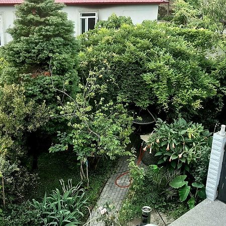 Tj Guest House Makhindzsauri Kültér fotó